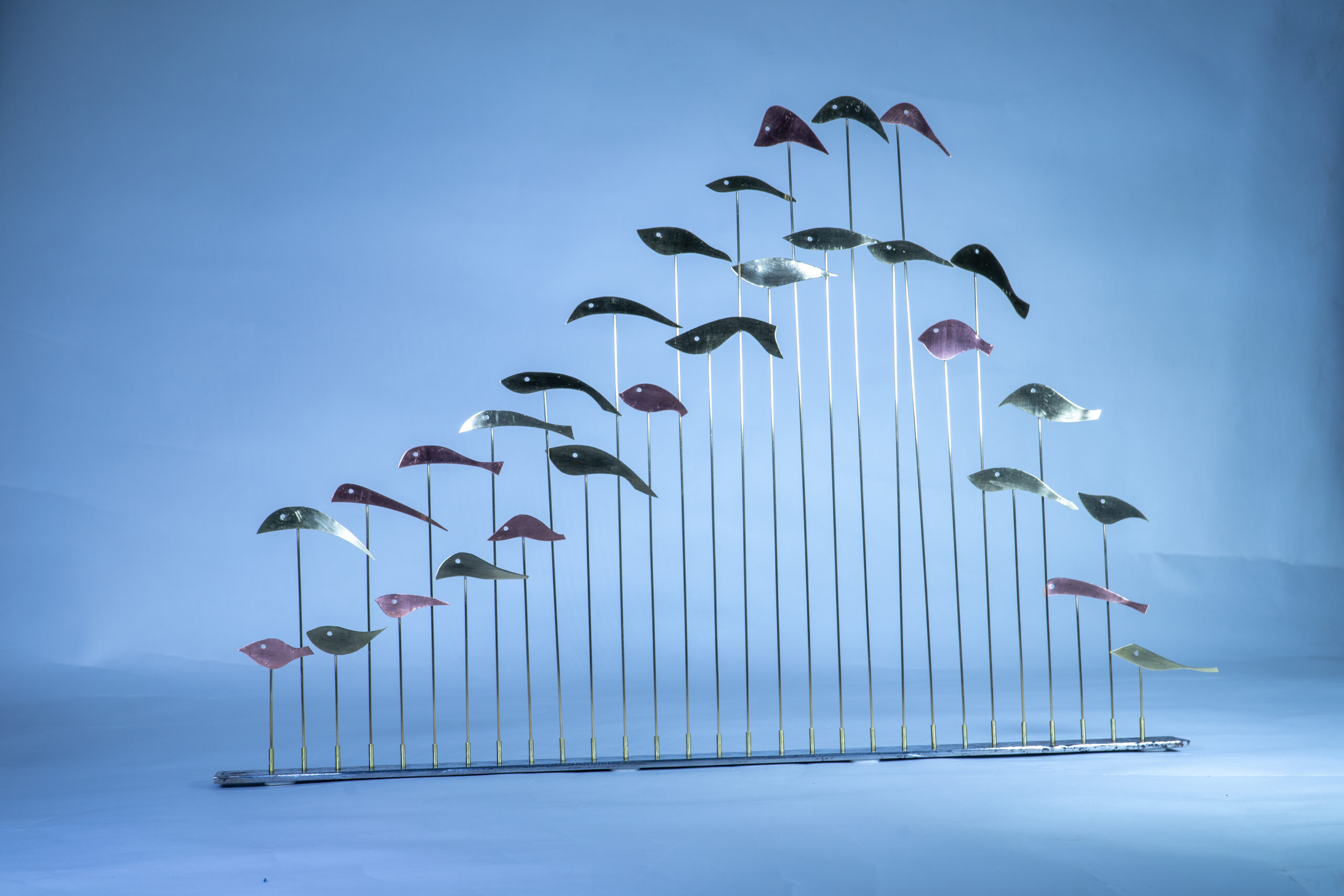 Lo natural es diverso Lo natural es diverso