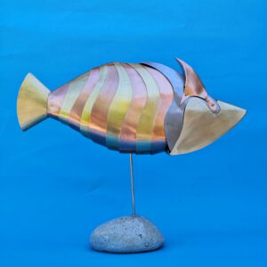 Pez Incauto IV