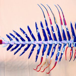 Pez Volador IV